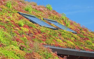 Ripley living roof systems