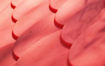 Ripley plastic roof costs