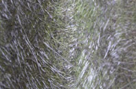 Ripley fibreglass roof work